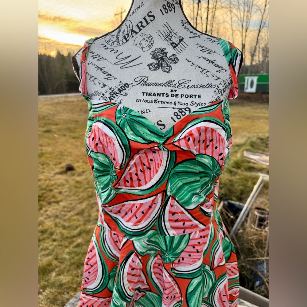 Hell Bunny Watermelon Print Midi Dress - Picture 6 of 17